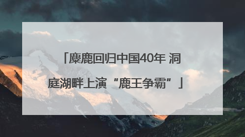 麋鹿回归中国40年 洞庭湖畔上演“鹿王争霸”