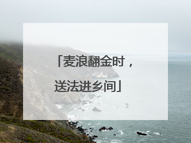 麦浪翻金时，送法进乡间