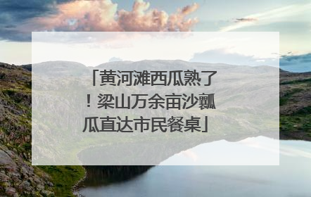 黄河滩西瓜熟了！梁山万余亩沙瓤瓜直达市民餐桌