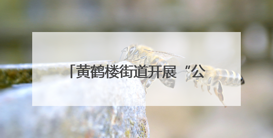 黄鹤楼街道开展“公民素养大课堂”，织密“银龄”防诈网