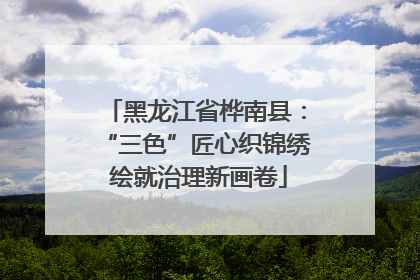 黑龙江省桦南县：“三色”匠心织锦绣 绘就治理新画卷