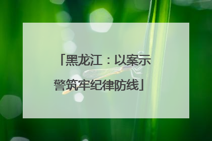 黑龙江：以案示警筑牢纪律防线