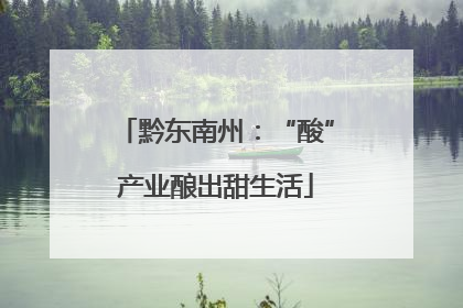 黔东南州：“酸”产业酿出甜生活