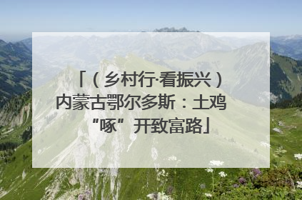 （乡村行·看振兴）内蒙古鄂尔多斯：土鸡“啄”开致富路