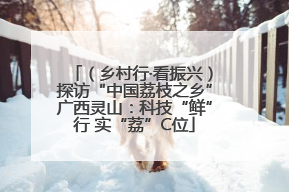 （乡村行·看振兴）探访“中国荔枝之乡”广西灵山：科技“鲜”行 实“荔”C位