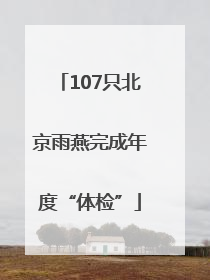 107只北京雨燕完成年度“体检”