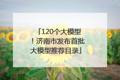 120个大模型！济南市发布首批大模型推荐目录