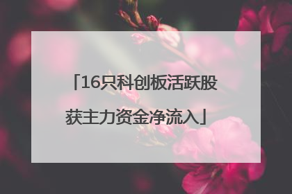 16只科创板活跃股获主力资金净流入