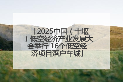 2025中国（十堰）低空经济产业发展大会举行 16个低空经济项目落户车城