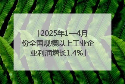 2025年1—4月份全国规模以上工业企业利润增长1.4%