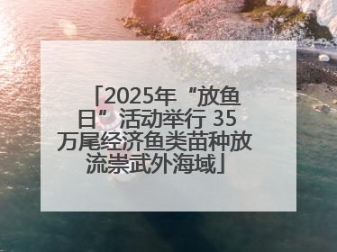 2025年“放鱼日”活动举行 35万尾经济鱼类苗种放流崇武外海域