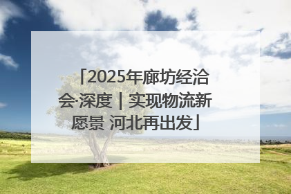 2025年廊坊经洽会·深度｜实现物流新愿景 河北再出发