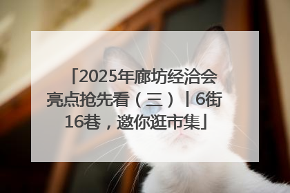 2025年廊坊经洽会亮点抢先看（三）丨6街16巷，邀你逛市集