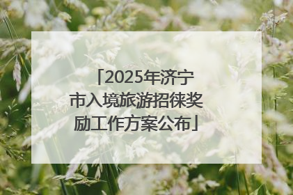 2025年济宁市入境旅游招徕奖励工作方案公布