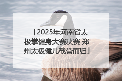 2025年河南省太极拳健身大赛决赛 郑州太极健儿载誉而归