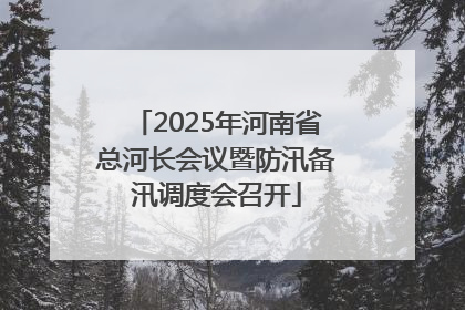 2025年河南省总河长会议暨防汛备汛调度会召开