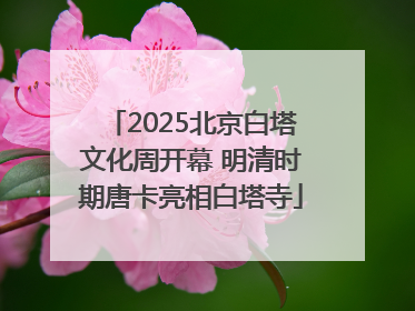 2025北京白塔文化周开幕 明清时期唐卡亮相白塔寺