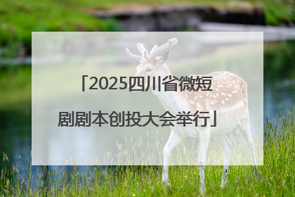 2025四川省微短剧剧本创投大会举行