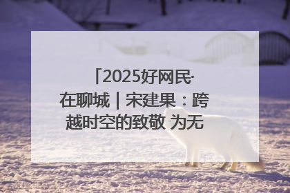 2025好网民·在聊城｜宋建果：跨越时空的致敬 为无名烈士“正名”