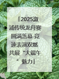 2025溆浦传统龙舟赛圆满落幕 竞速表演双燃 共展“大端午”魅力