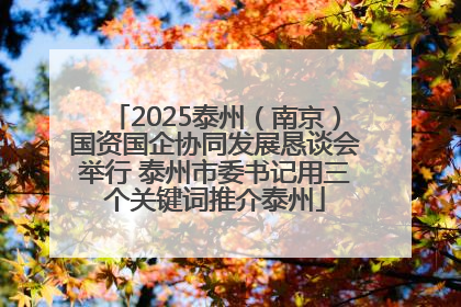 2025泰州（南京）国资国企协同发展恳谈会举行 泰州市委书记用三个关键词推介泰州