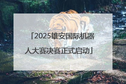 2025雄安国际机器人大赛决赛正式启动