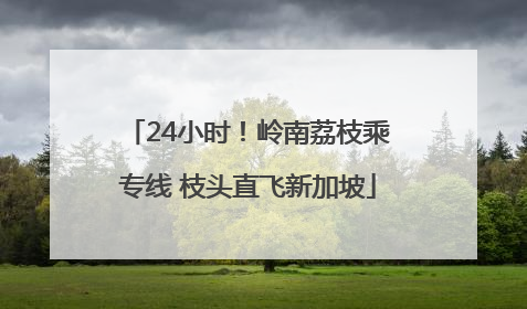 24小时！岭南荔枝乘专线 枝头直飞新加坡