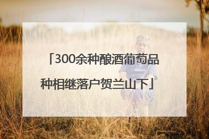 300余种酿酒葡萄品种相继落户贺兰山下