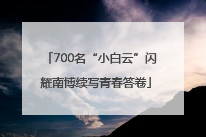 700名“小白云”闪耀南博续写青春答卷
