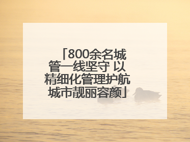 800余名城管一线坚守 以精细化管理护航城市靓丽容颜