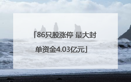 86只股涨停 最大封单资金4.03亿元