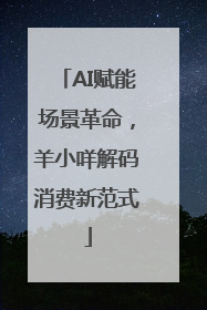 AI赋能场景革命，羊小咩解码消费新范式