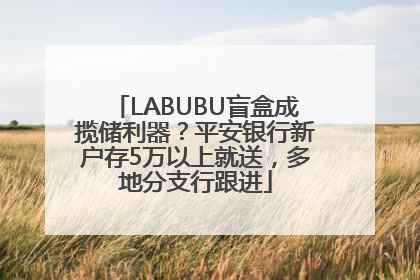LABUBU盲盒成揽储利器？平安银行新户存5万以上就送，多地分支行跟进