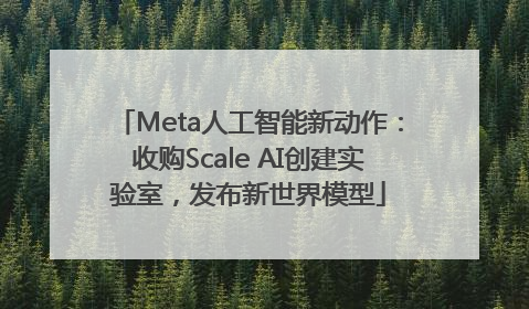 Meta人工智能新动作：收购Scale AI创建实验室，发布新世界模型