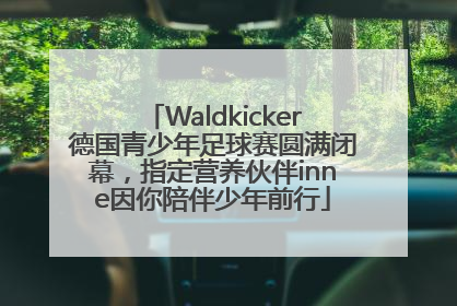 Waldkicker德国青少年足球赛圆满闭幕，指定营养伙伴inne因你陪伴少年前行